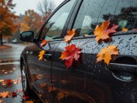 Documentary-style photograph of a wet vehicle panel in autumn with realistic rain droplets and a few natural leaves