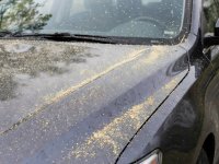 Natural 50mm photograph showing realistic spring pollen and light environmental residue resting on a vehicle exterior